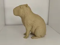 16 cm tall