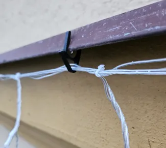 Christmas Lights Hook