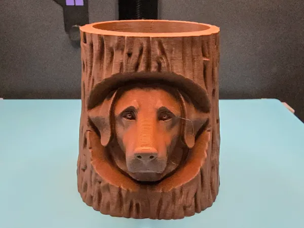https://makerworld.bblmw.com/makerworld/model/USabde11f0b294ae/design/2025-11-01_eb1e4772a58708.jpg