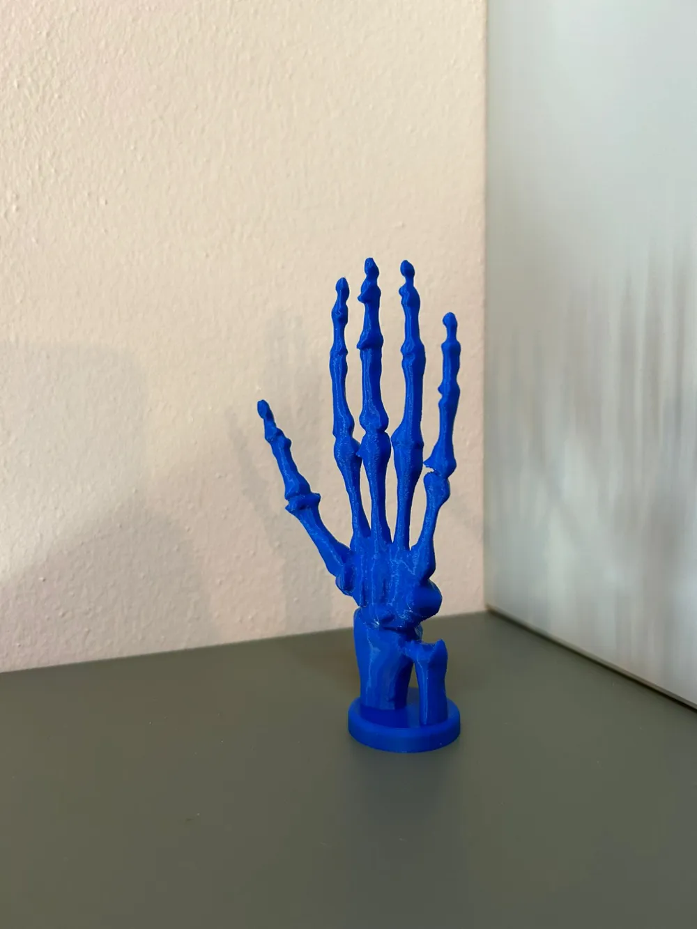 Bone anatomy of the hand by zorzet90 makerworld
