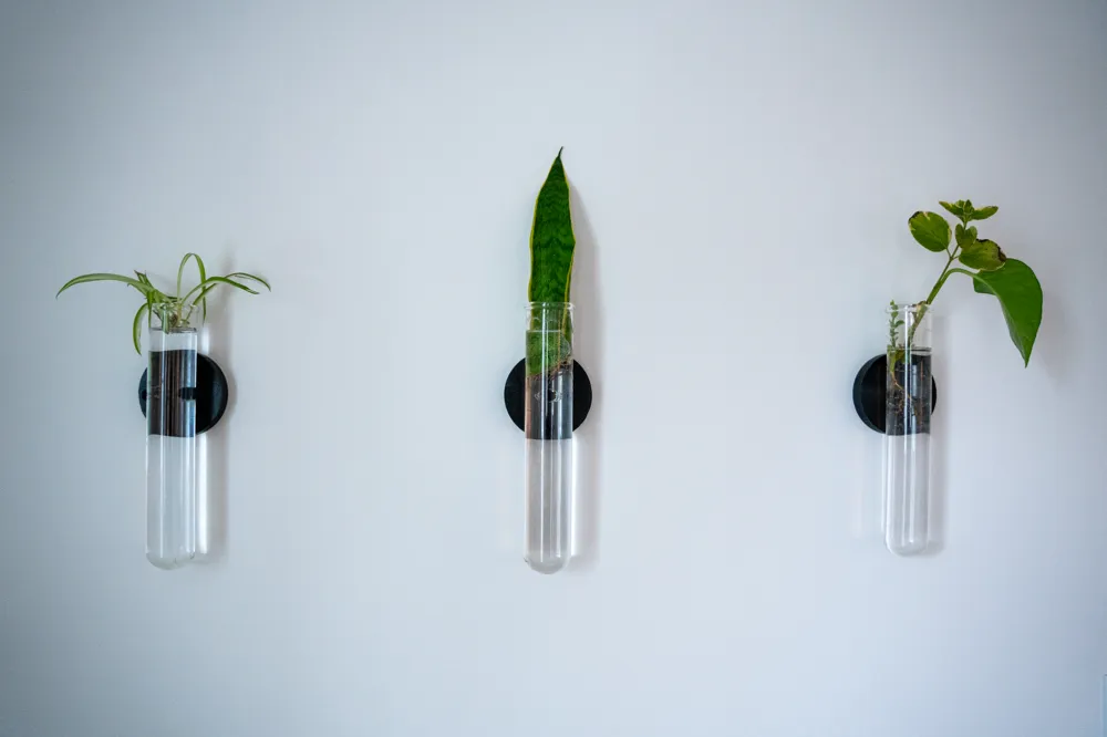 Propagation Test Tube Plant Wall Mount by isak MakerWorld