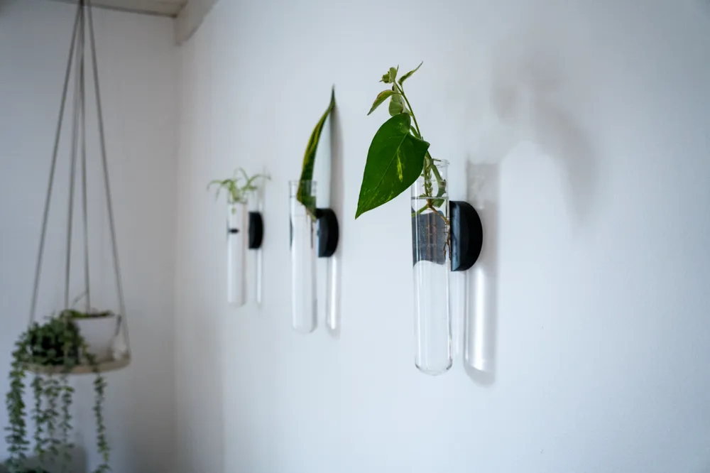Propagation Test Tube Plant Wall Mount by isak MakerWorld