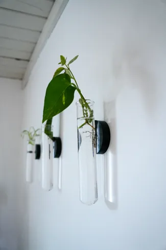 Propagation Test Tube Plant Wall Mount