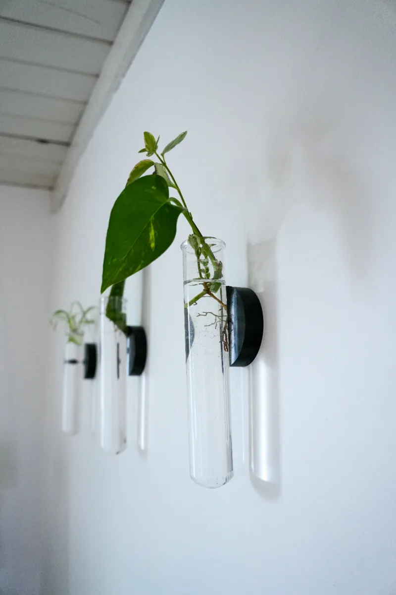 Propagation Test Tube Plant Wall Mount