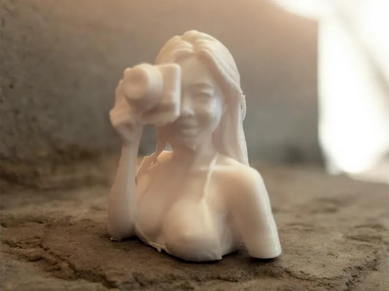 Bikini girl holding camera statue