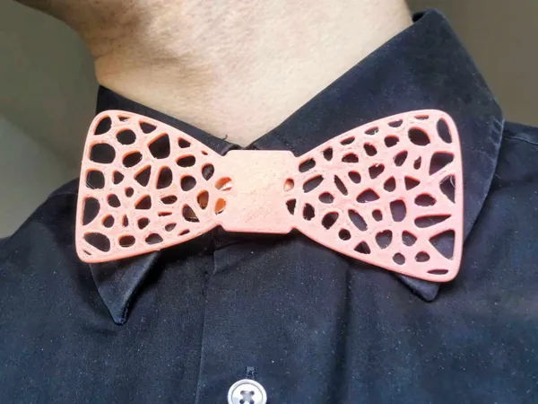 https://makerworld.bblmw.com/makerworld/model/USabe442015d6c4e/design/2025-01-13_96e257287612f.jpeg