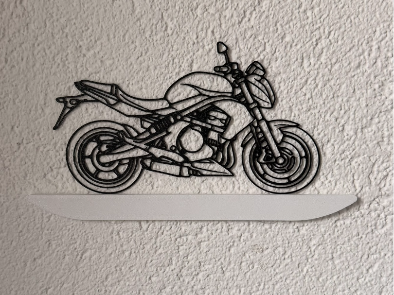 Kawasaki ER6N motorcycle wallart