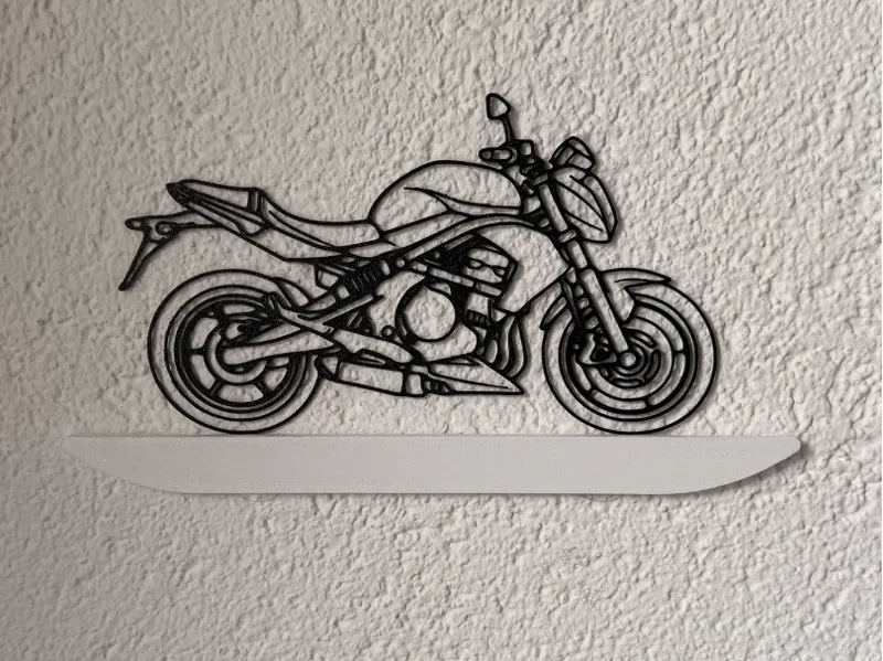 Kawasaki ER6N motorcycle wallart