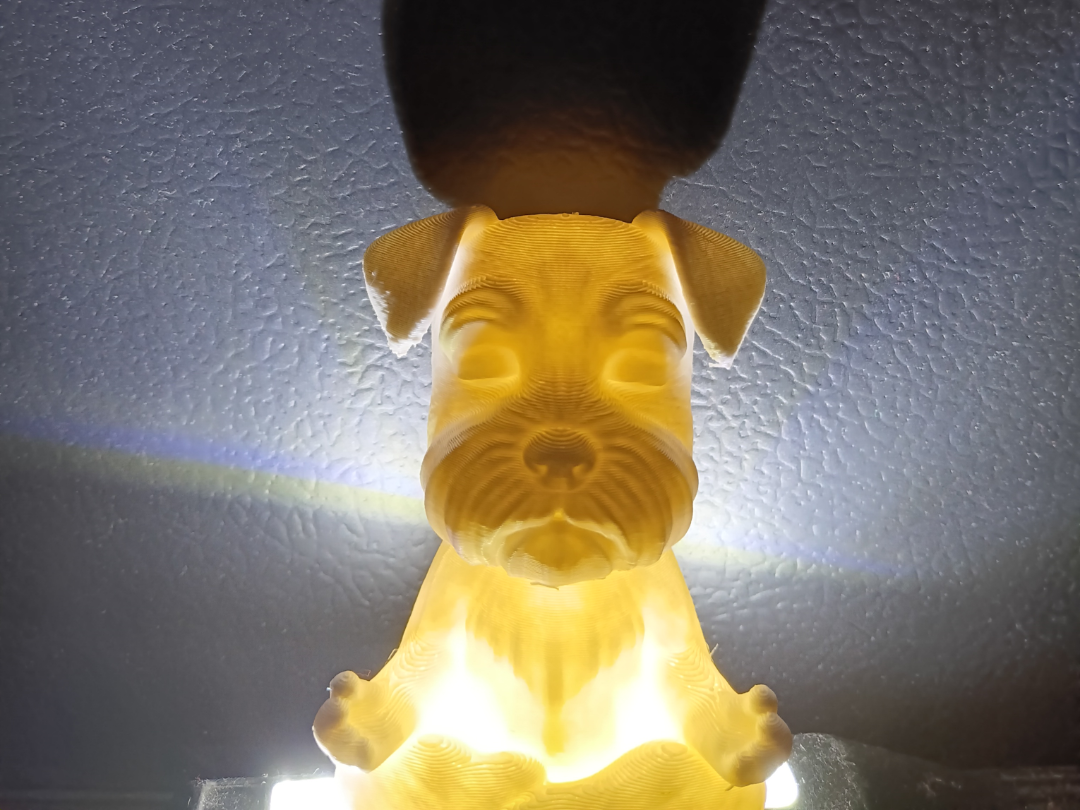 meditating dog
