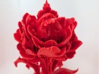 0.16mm layer, 2 walls, 8% infill