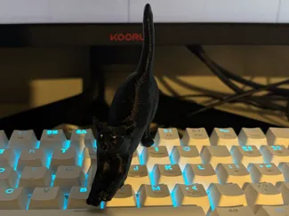 Cat Stretch
