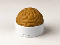 0.16mm layer, 2 walls, 15% infill