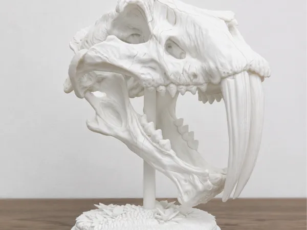 https://makerworld.bblmw.com/makerworld/model/USabf582200f9a74/design/5c6cf5b33d88561d.png