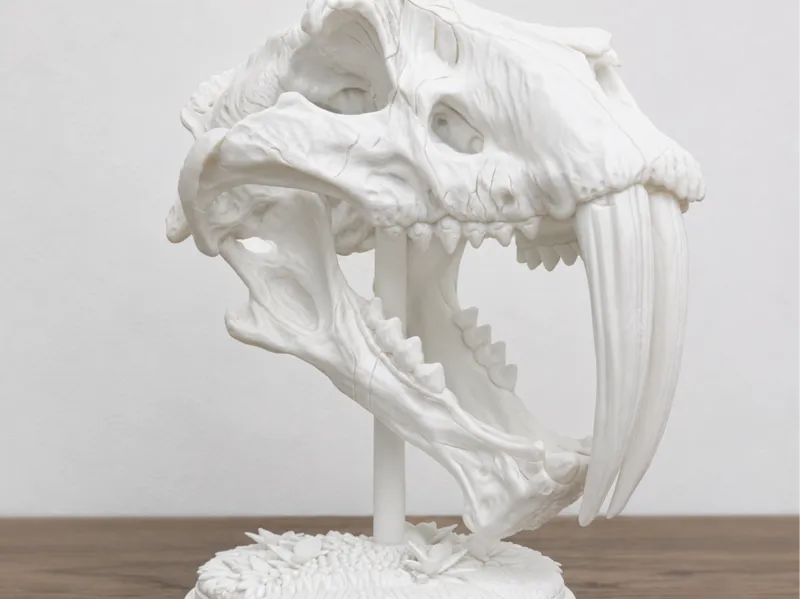 Sabertooth Skull Display – Collector's Edition