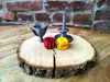CATAN Trophy + Fidget