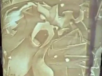 Lithophan Entei, Raikou, Suicune