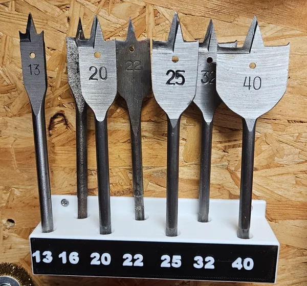 https://makerworld.bblmw.com/makerworld/model/USac062c3c84c31e/design/2024-10-17_a05b57c213407.jpg