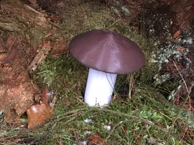 Mushroom geocache container