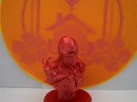 0.16mm layer, 2 walls, 5% infill