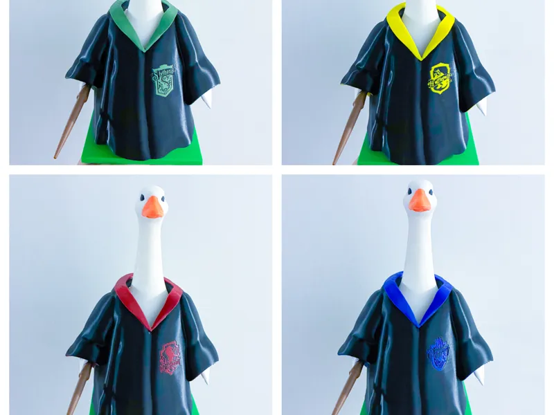Wizard House Themed Robes and Wand Desk Goose Gear