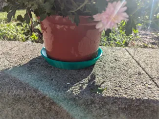 Round Plant Saucer for Potted Plant