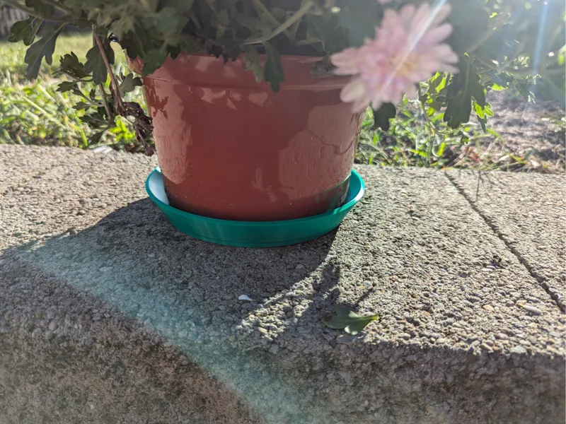 Round Plant Saucer for Potted Plant