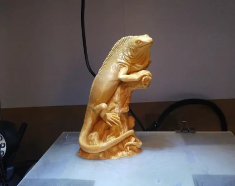 Iguana 