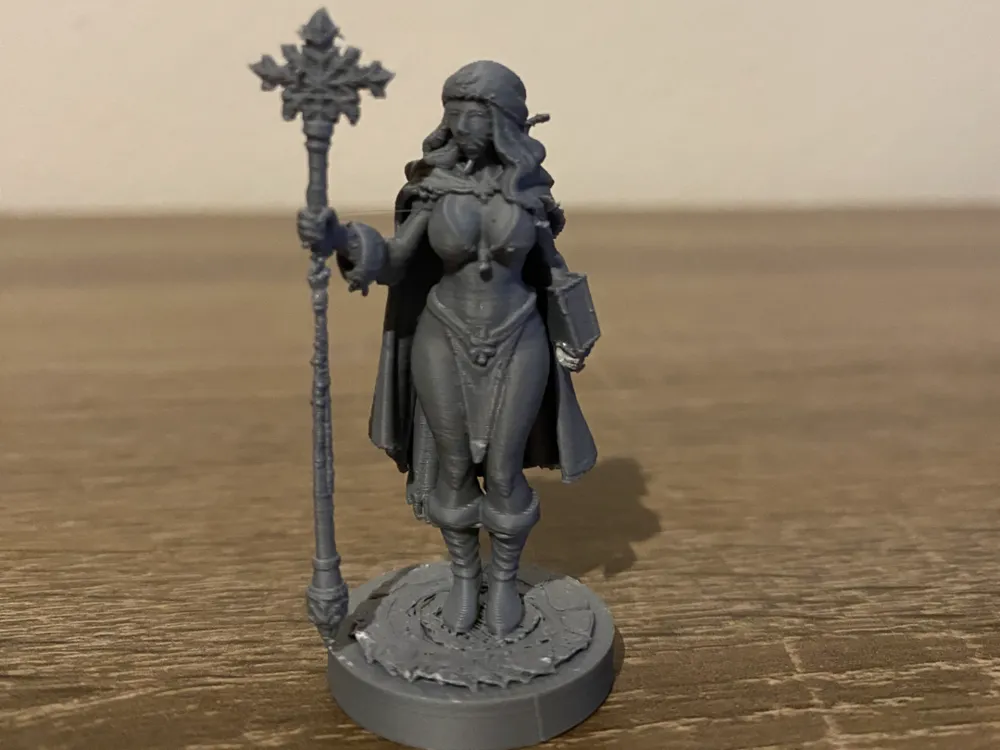 Dungeons&Dragons Winter Beauty Sorceress by Toms3DWelt MakerWorld ...