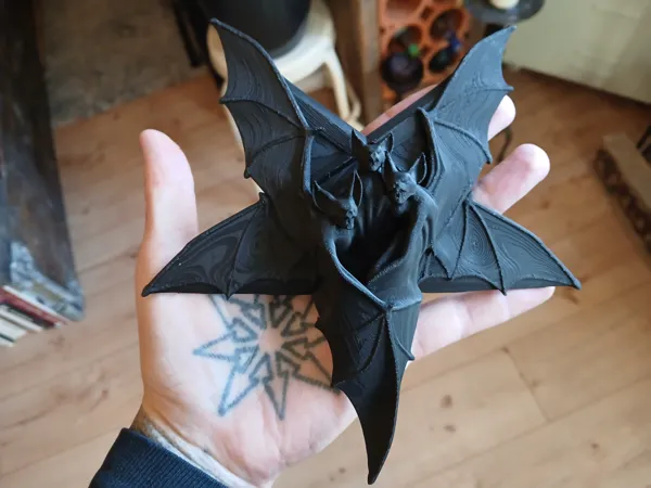 https://makerworld.bblmw.com/makerworld/model/USac240082bbacb4/design/68bb27388c8d4d0e.jpg