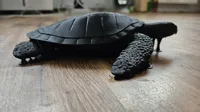Tortue imbriquée décorative — photo 3
