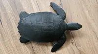 Tortue imbriquée décorative — photo 2