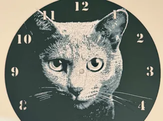 Cat Clockface 245mm