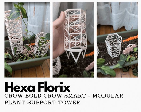 https://makerworld.bblmw.com/makerworld/model/USac29249cd5d857/design/2025-04-24_c1aaa0f84b4218.gif