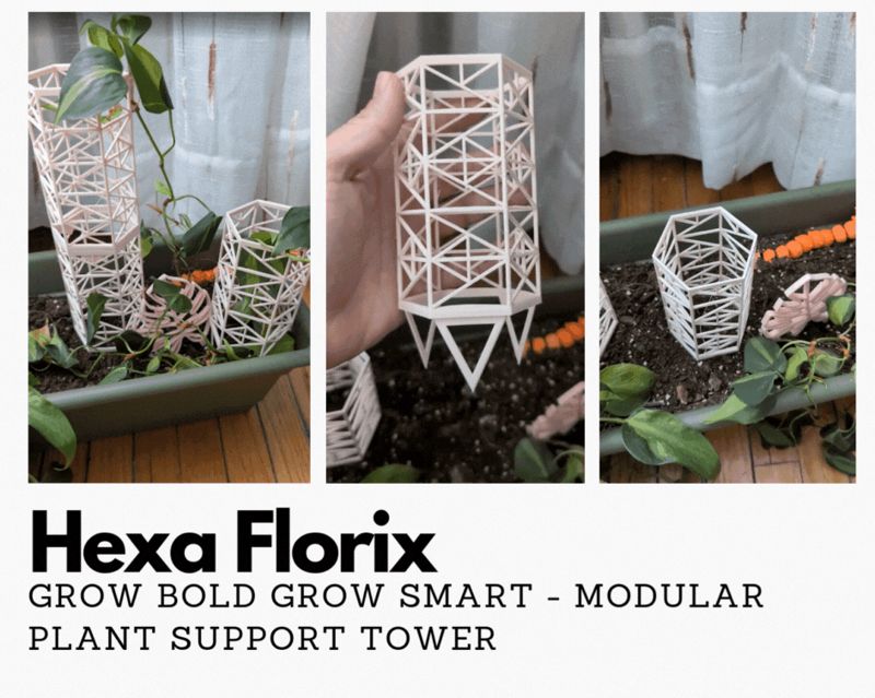 Hexa Florix - Grow Bold Grow Smart