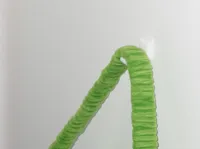Single Hook, 0.16mm layer, 1 wall, 15% infill