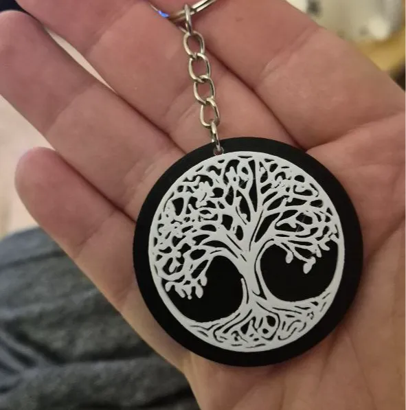 https://makerworld.bblmw.com/makerworld/model/USac2e1b968ae97b/design/2024-11-16_e55cb8f182e87.jpg