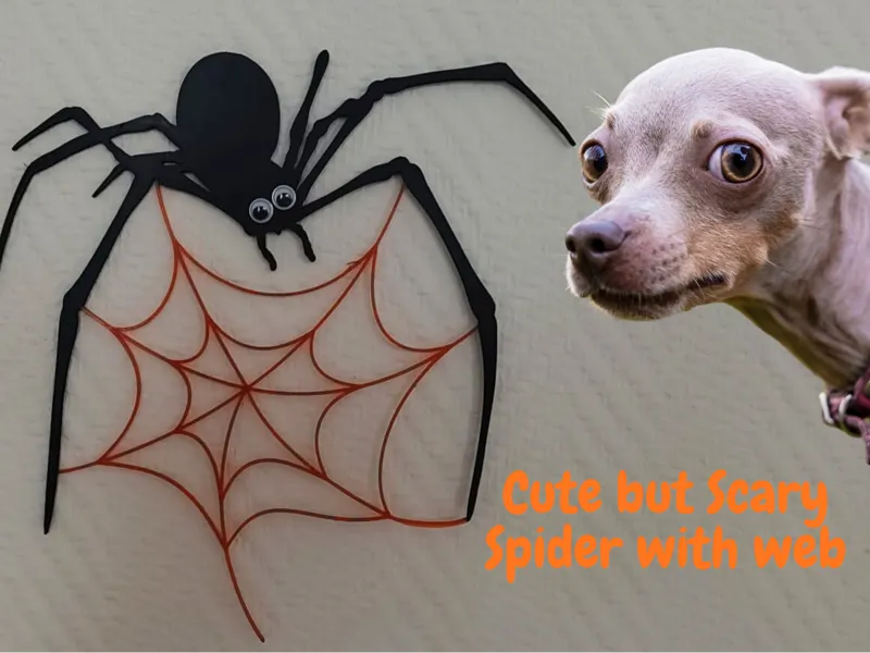 Spider with Web - cool wall decor