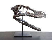 Crâne de raptor Deinonychus — photo 1