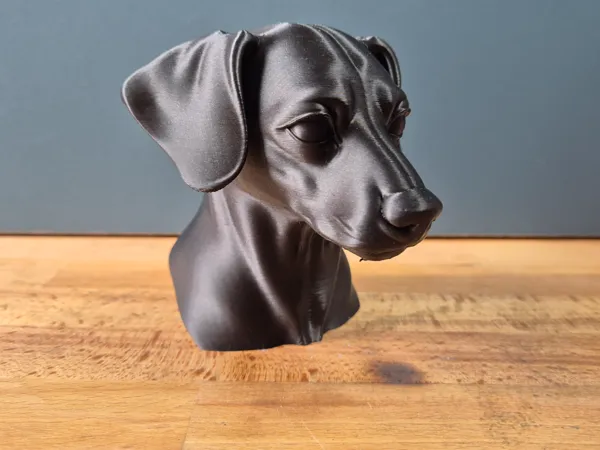 https://makerworld.bblmw.com/makerworld/model/USac33a9b58032f8/design/2025-05-25_e77636c3446898.jpg