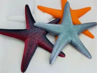 Figurine étoile de mer — photo 1