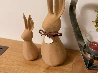 Fuzzy Rabbit