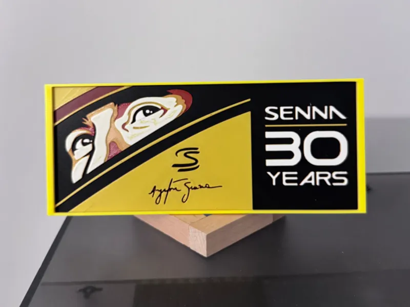 AYRTON SENNA - 30 YEARS MEMORIAL