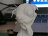 0.2mm layer, 2 walls, 5% infill