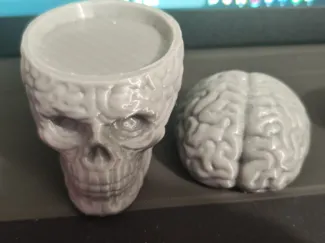 Calavera de Cerebro