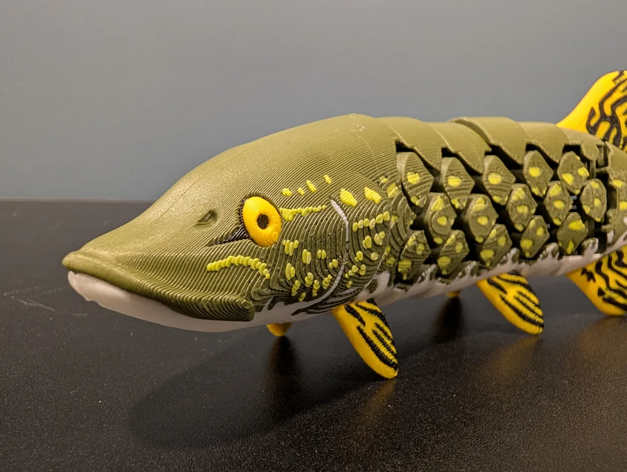 Articulated Northern Pike (Esox lucius) view 2