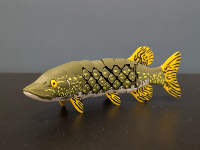 Articulated Northern Pike (Esox lucius)
