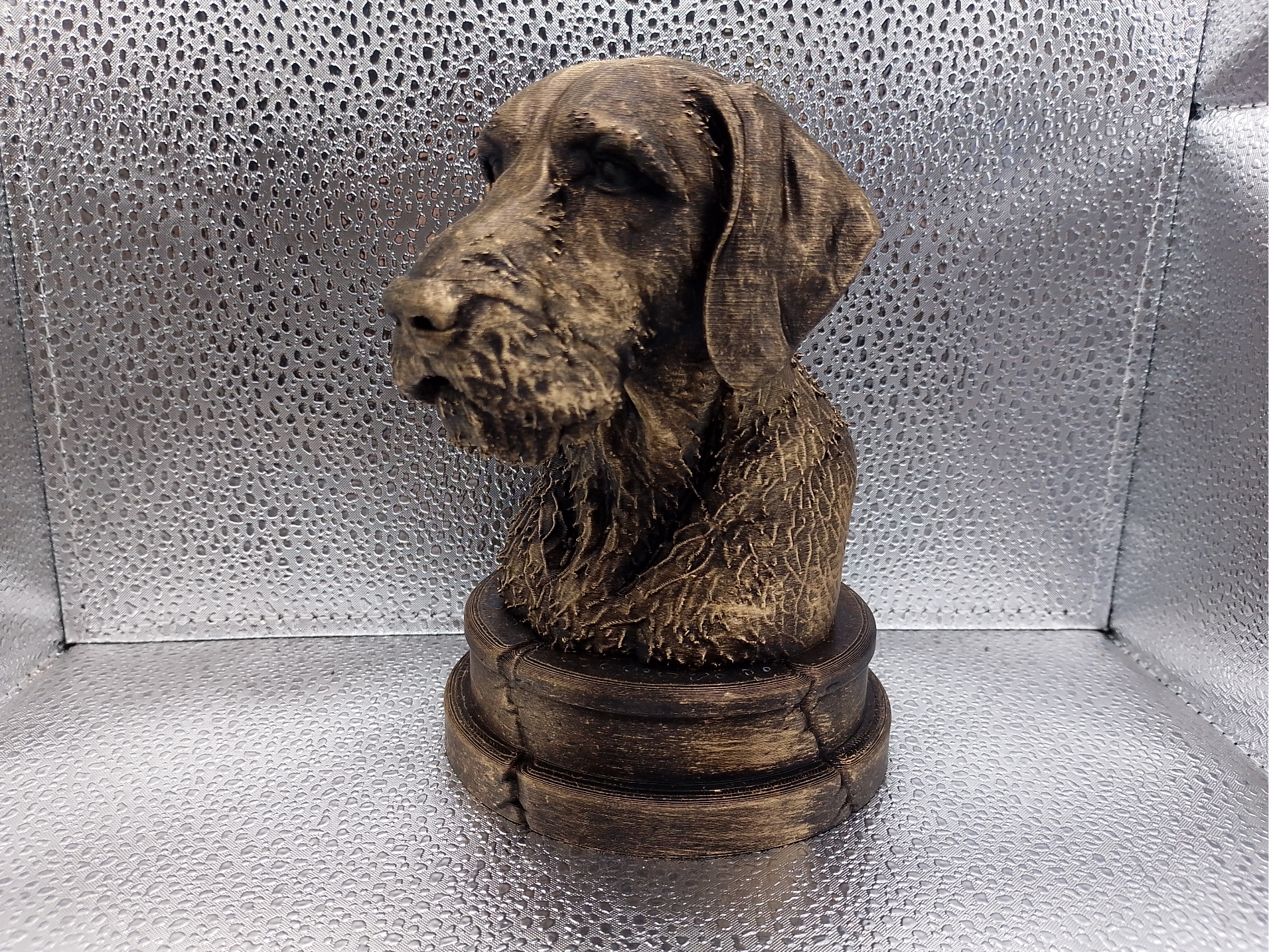 Wirehaired Vizsla Bust