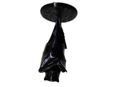 Bat 1 standing - hanging