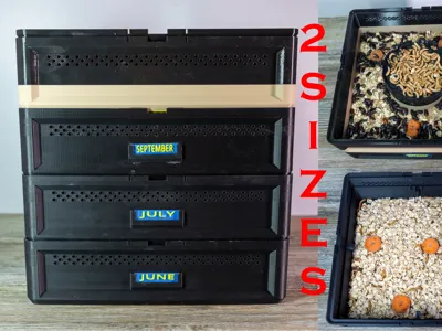 Mealworm Farm