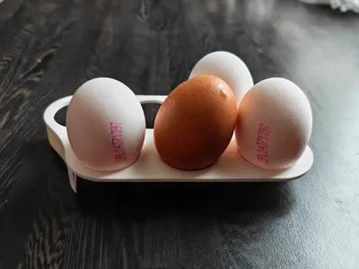 Fridge Egg Holder Tray